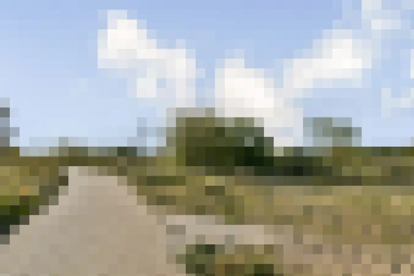 Galileistate 25 Zandvoort thumbnail 27