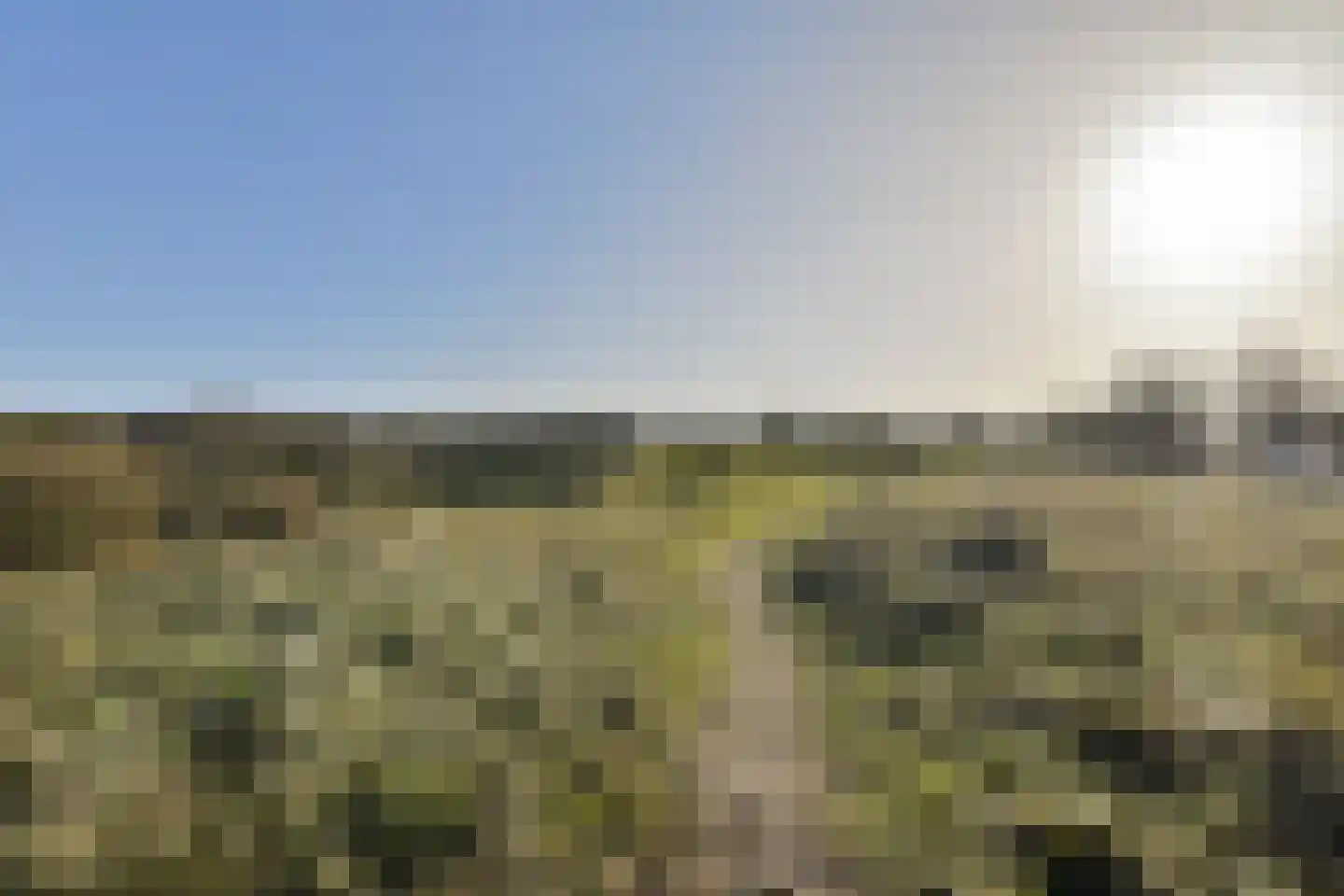 Galileistate 25 Zandvoort thumbnail 28