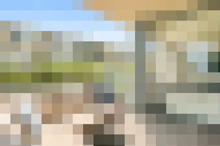 Galileistate 3 Zandvoort thumbnail 7