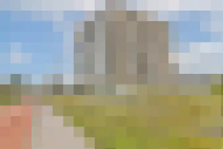 Galileistate 65 Zandvoort thumbnail 22