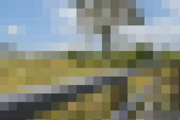 Galileistate 65 Zandvoort thumbnail 24