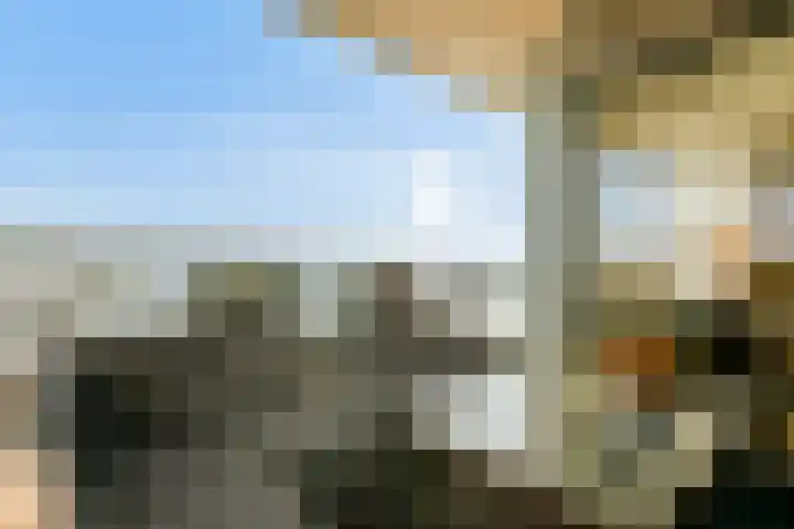 Galileistate 71 Zandvoort thumbnail 12