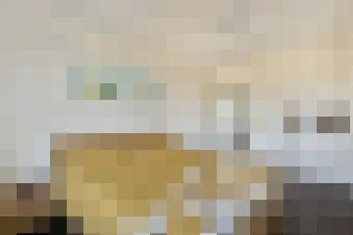 Galileistate 71 Zandvoort thumbnail 19