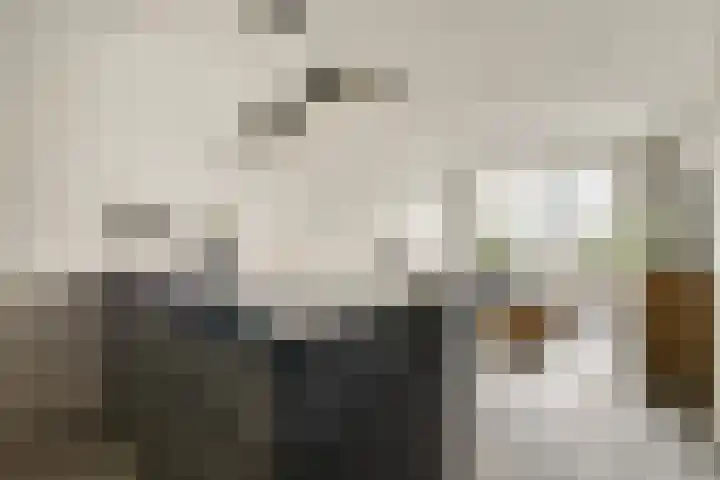 Galileistate 75 Zandvoort thumbnail 7