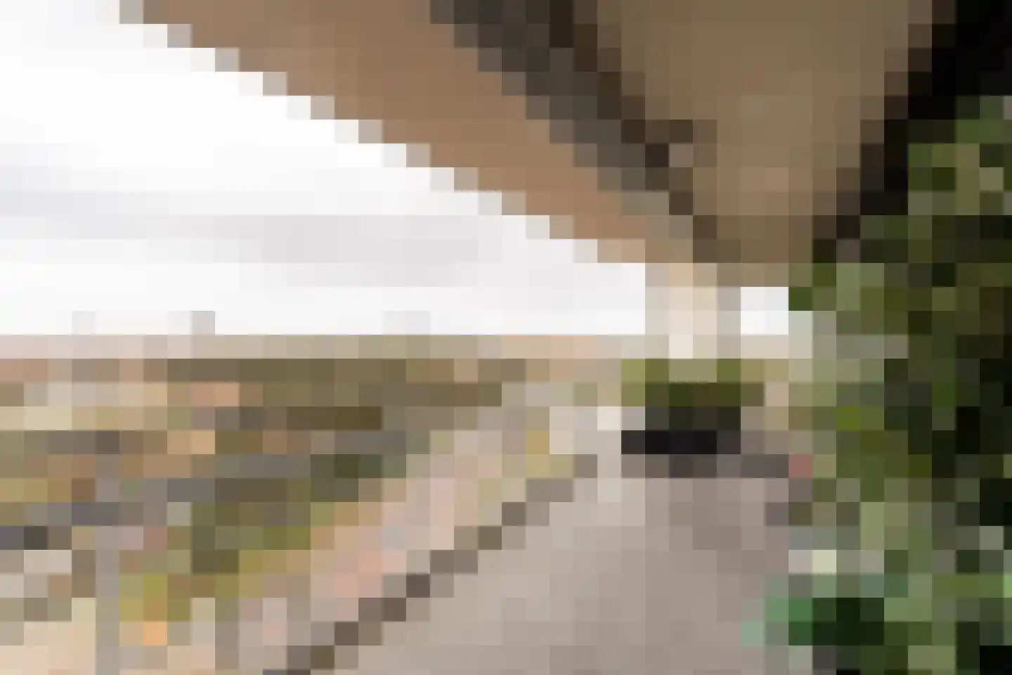 Galileistate 81 Zandvoort thumbnail 19