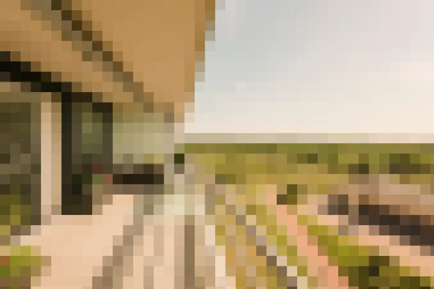 Galileistate 81 Zandvoort thumbnail 23