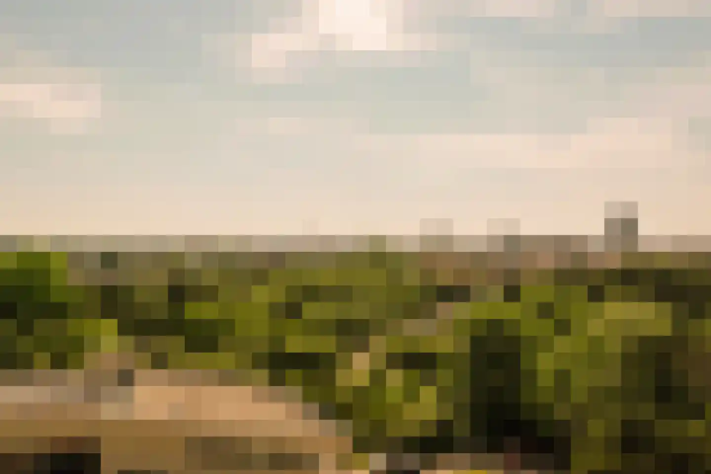 Galileistate 81 Zandvoort thumbnail 25