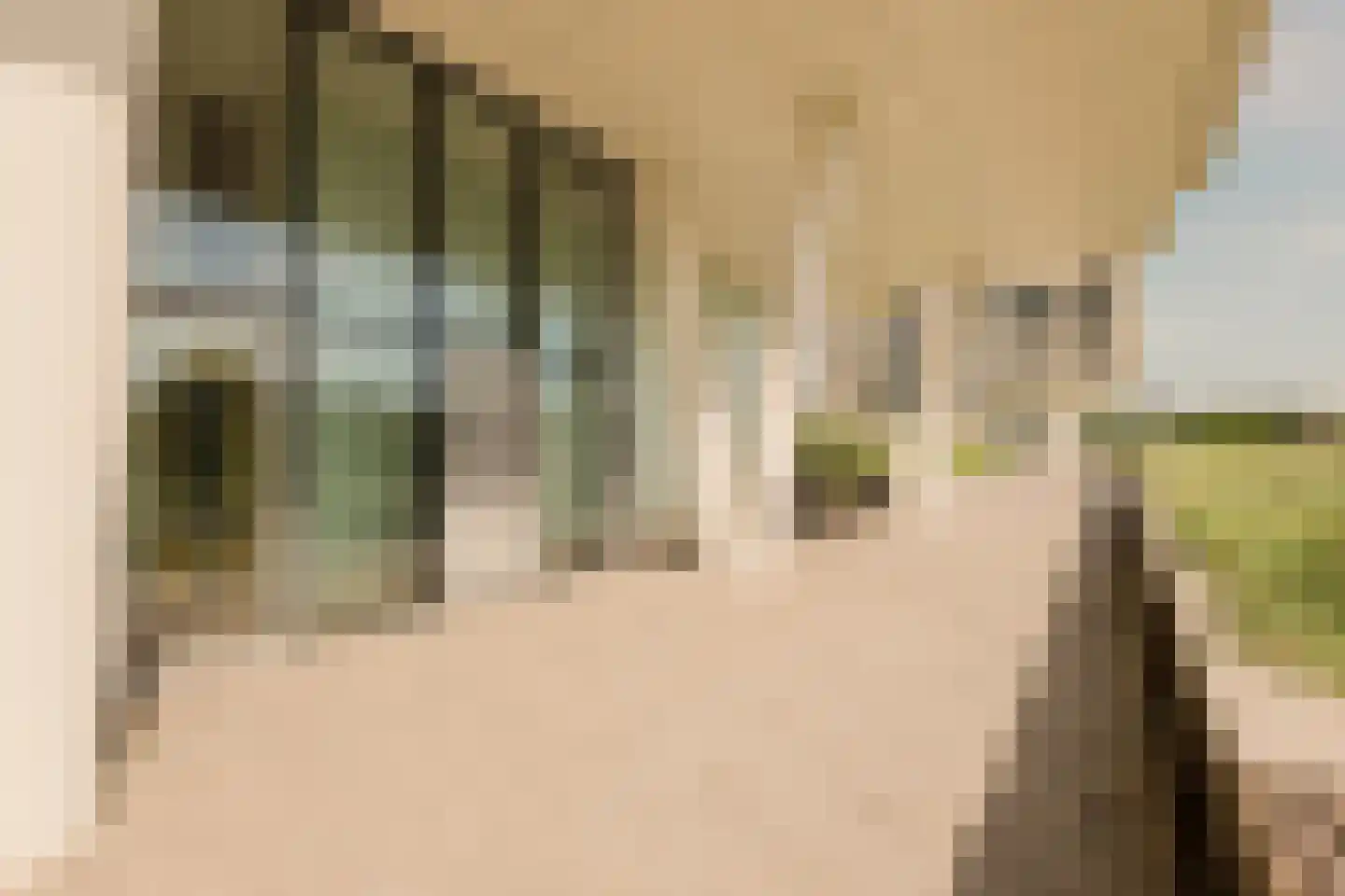 Galileistate 81 Zandvoort thumbnail 5