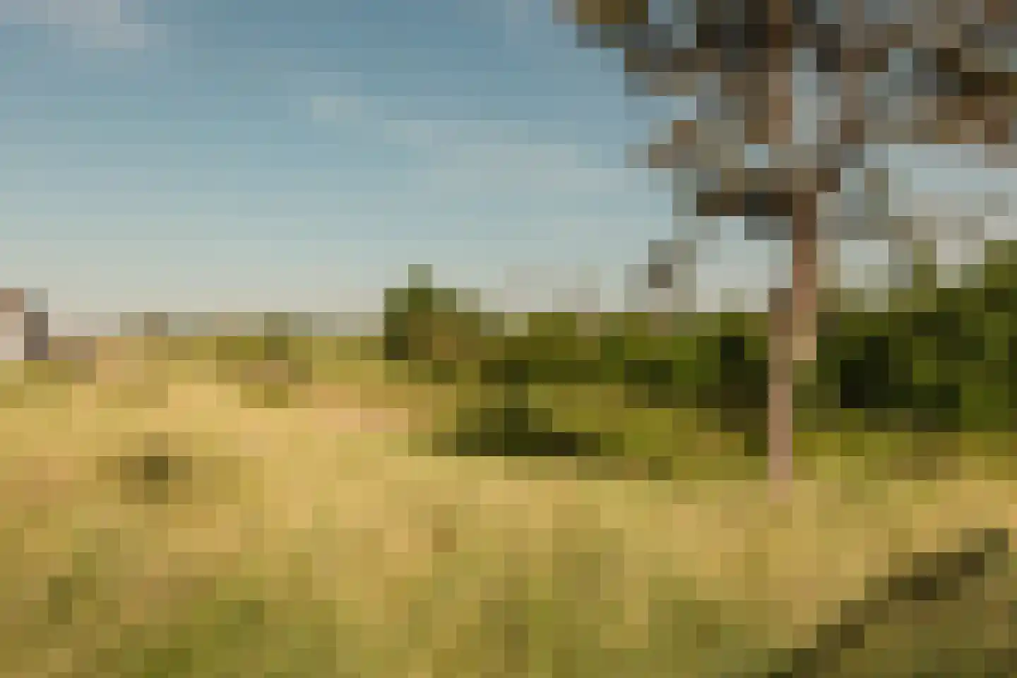 Galileistate 81 Zandvoort thumbnail 55