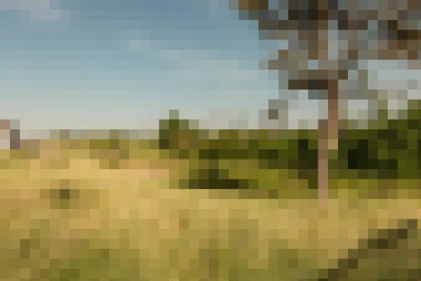 Galileistate 81 Zandvoort thumbnail 55