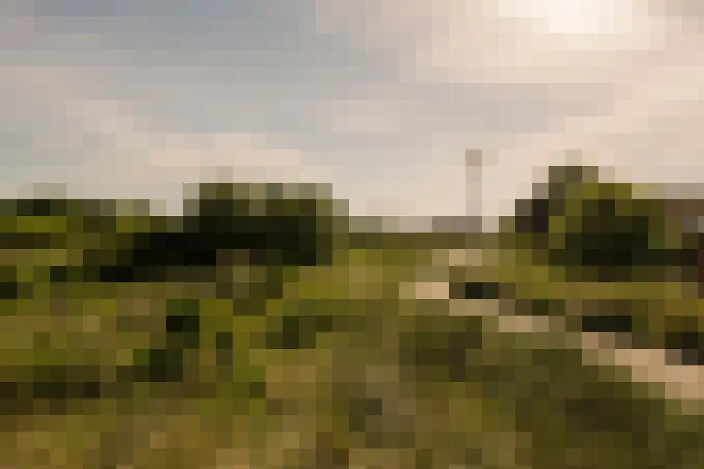 Galileistate 81 Zandvoort thumbnail 56