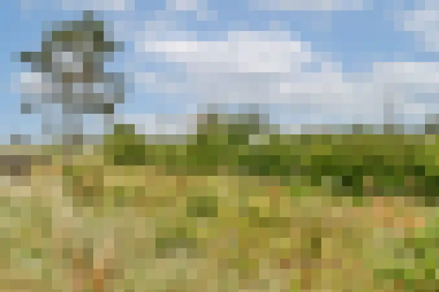 Galileistate 83 Zandvoort thumbnail 29