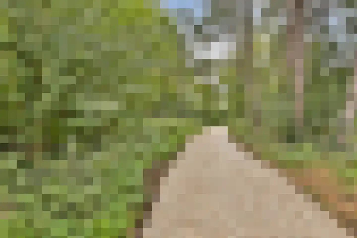 Galileistate 83 Zandvoort thumbnail 30