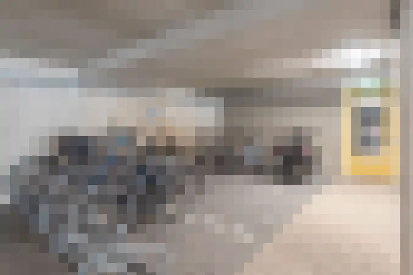 Galileistate 85 Zandvoort thumbnail 32