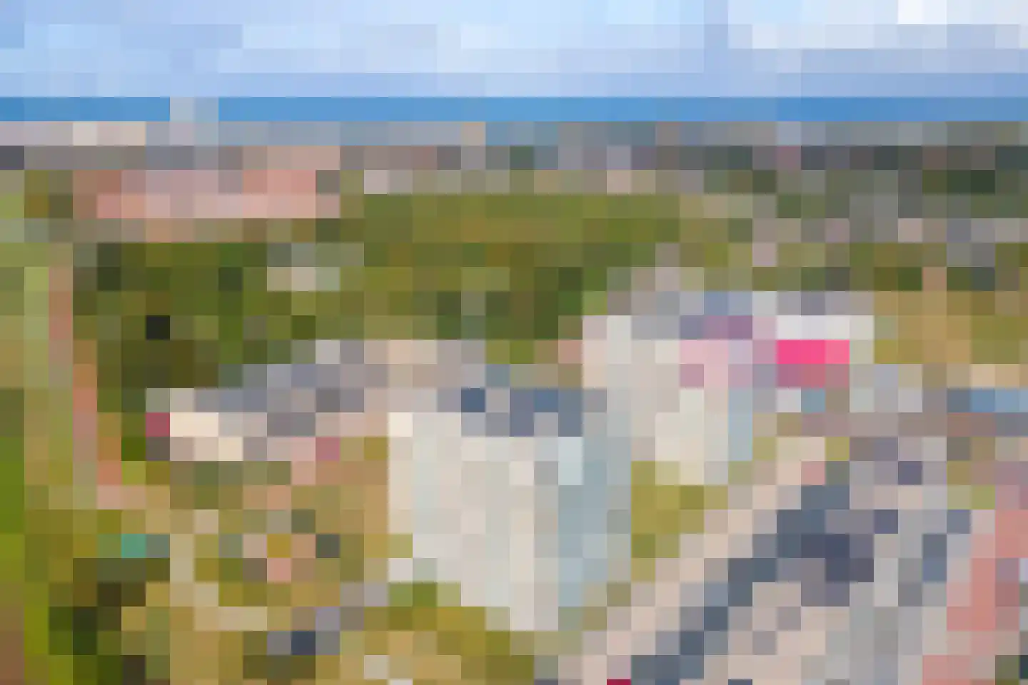 Galileistate 85 Zandvoort thumbnail 34