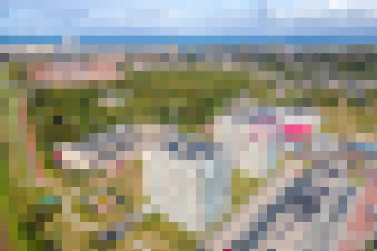 Galileistate 85 Zandvoort thumbnail 34