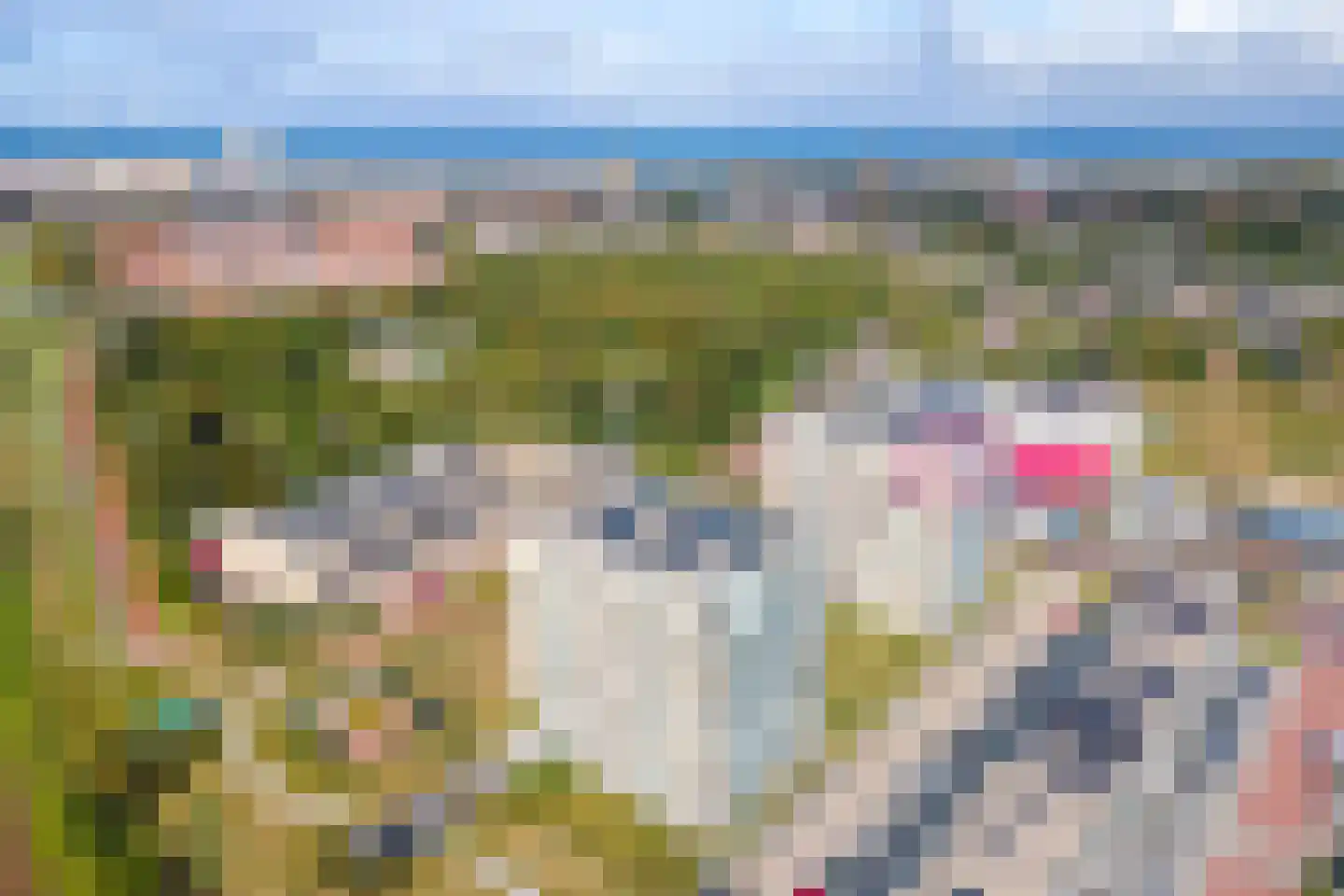 Galileistate 85 Zandvoort thumbnail 35