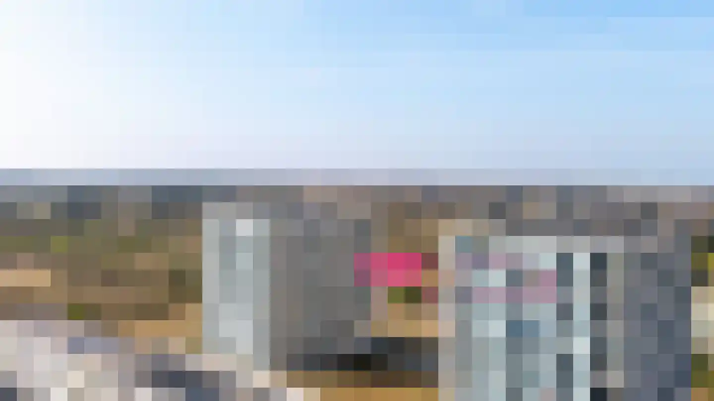 Galileistate 85 Zandvoort thumbnail 35