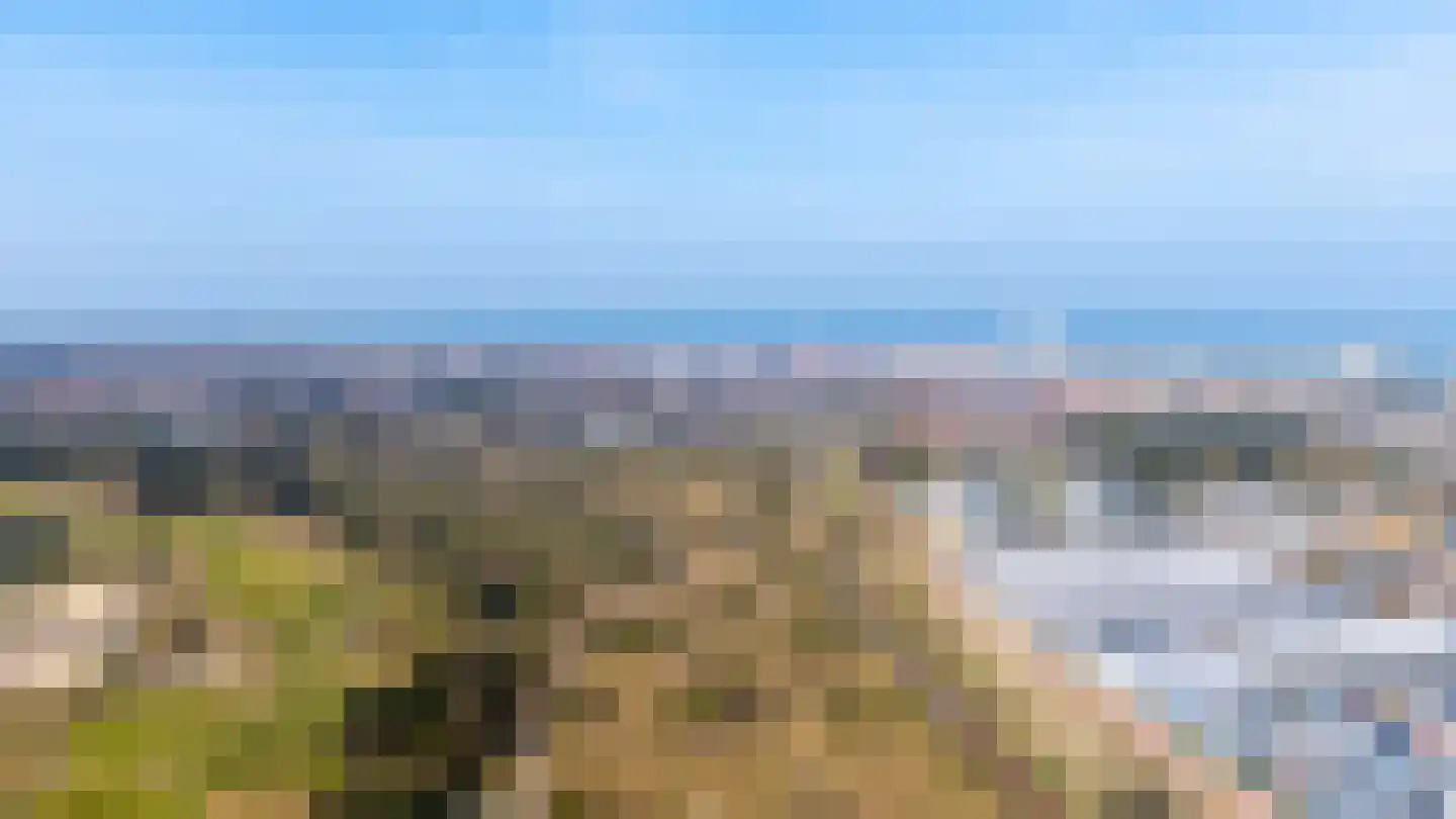 Galileistate 85 Zandvoort thumbnail 36