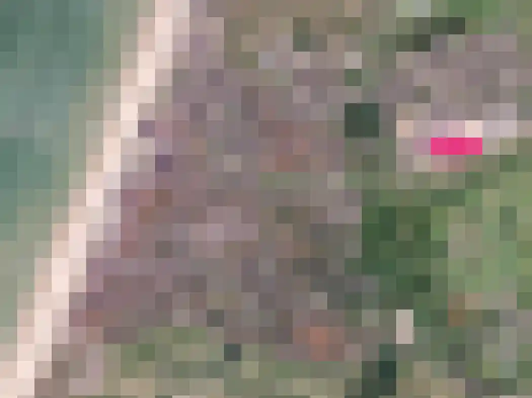 Galileistate 85 Zandvoort thumbnail 38