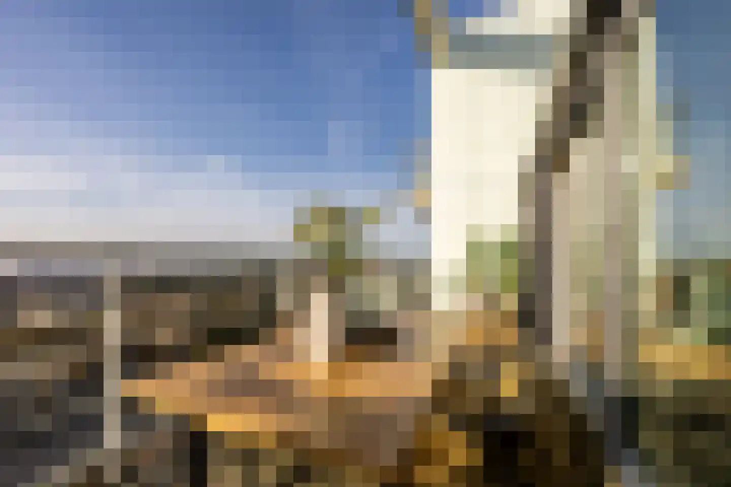 Galileistate 91 Zandvoort thumbnail 19