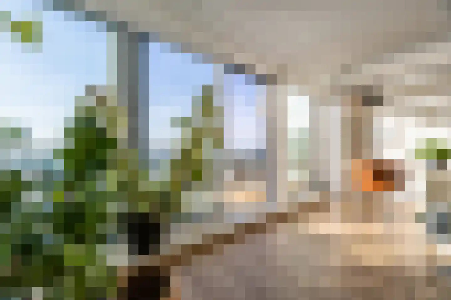 Galileistate 91 Zandvoort thumbnail 21