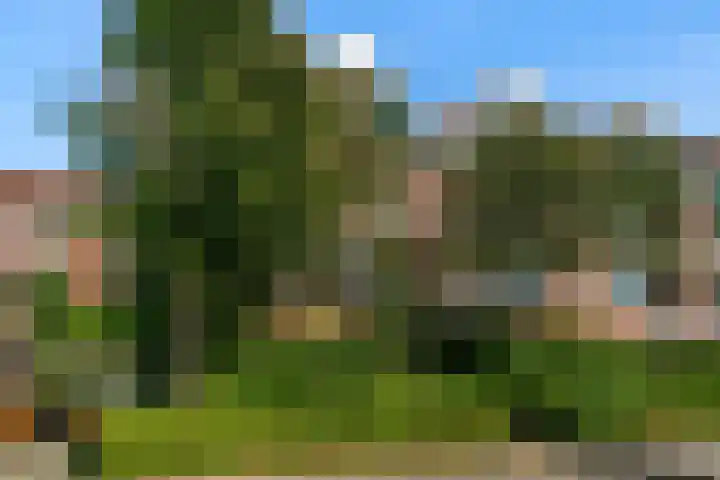 Galileistraat 19 Kudelstaart thumbnail 15