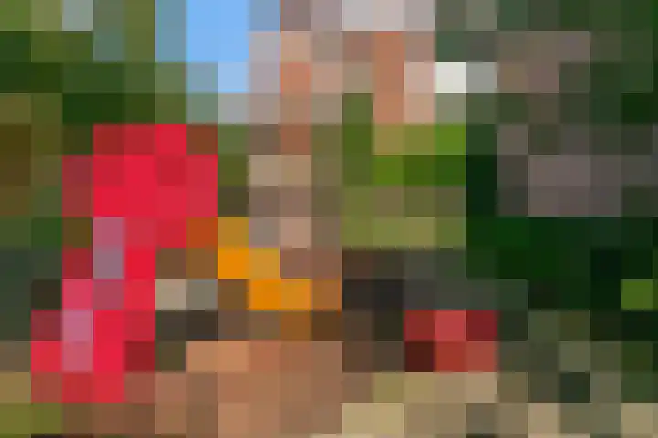 Galileistraat 19 Kudelstaart thumbnail 17