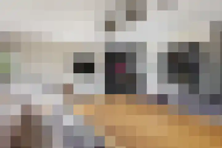 Galileistraat 19 Kudelstaart thumbnail 8