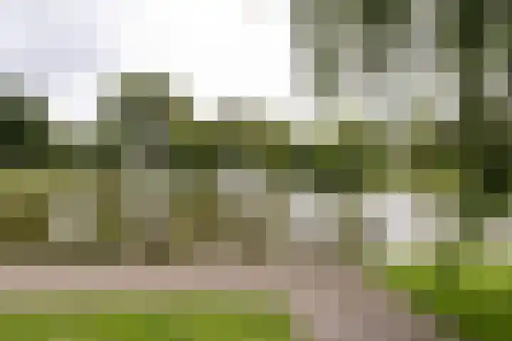 Galileistraat 25 Kudelstaart thumbnail 31