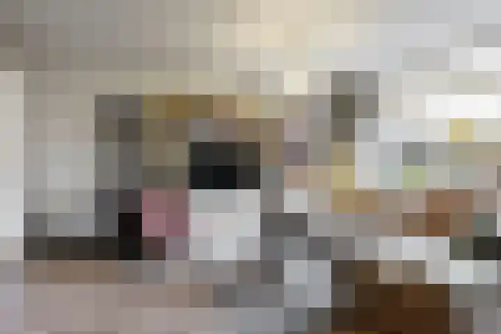 Galileistraat 5 Kudelstaart thumbnail 6