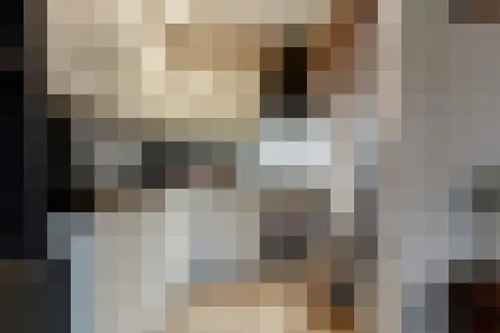 Galileistraat 5 Kudelstaart thumbnail 7