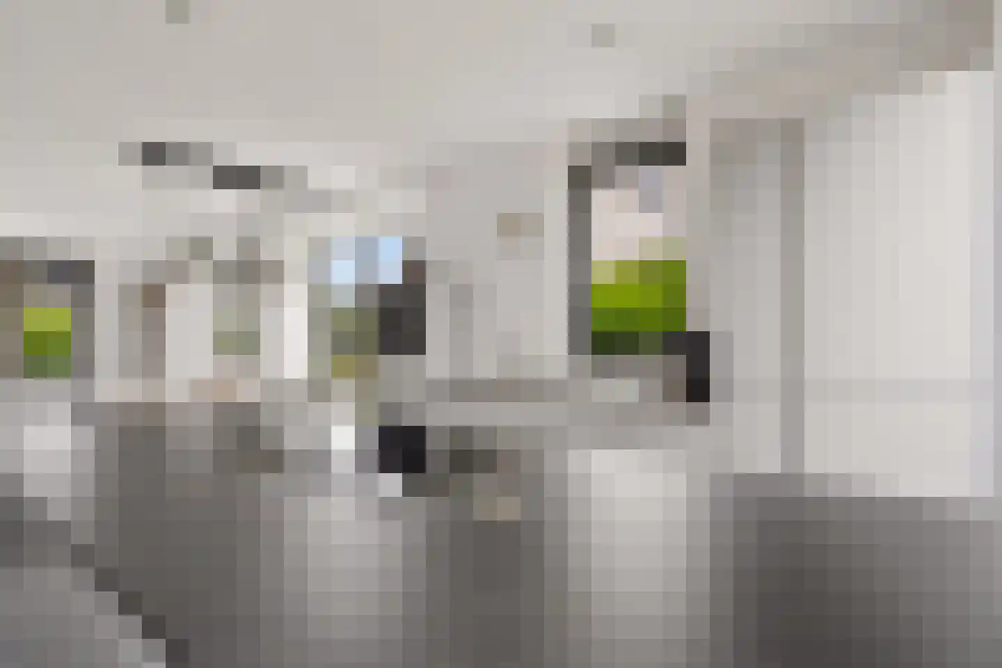 Galileo Galileistraat 11 Almere thumbnail 31