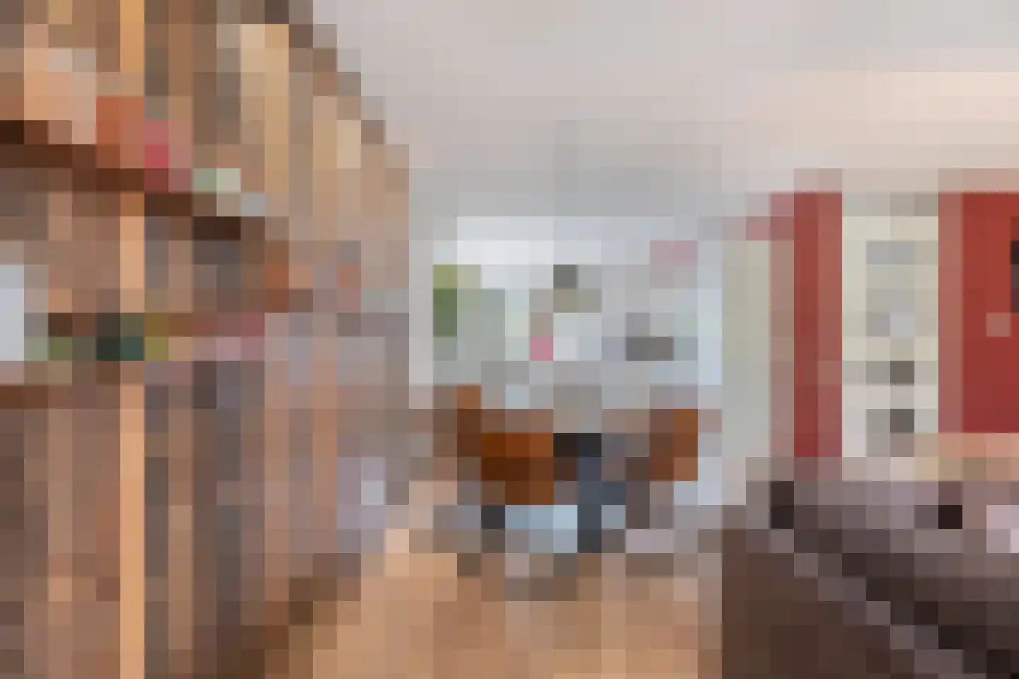 Galjoen 01 22 Lelystad thumbnail 12
