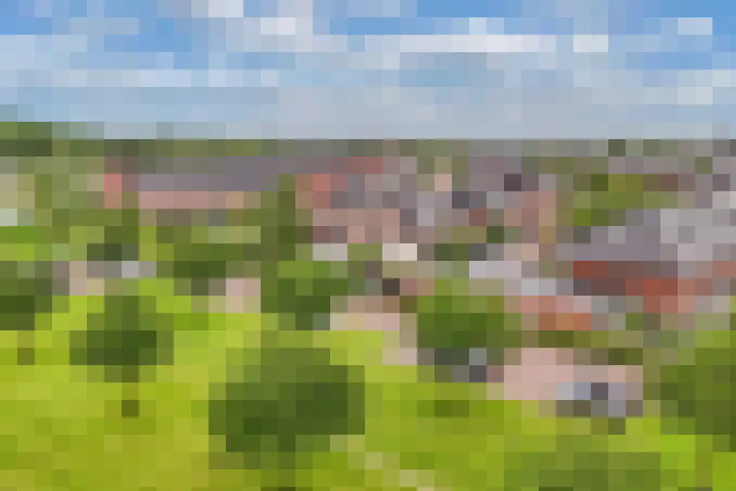 Galjoen 01 22 Lelystad thumbnail 40