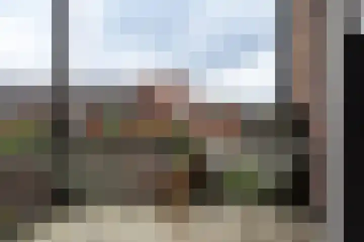 Galjoen 05 8 Lelystad thumbnail 19