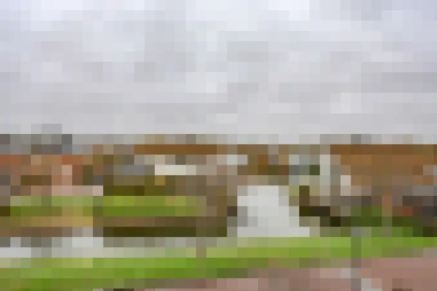 Galjoen 06 35 Lelystad thumbnail 42