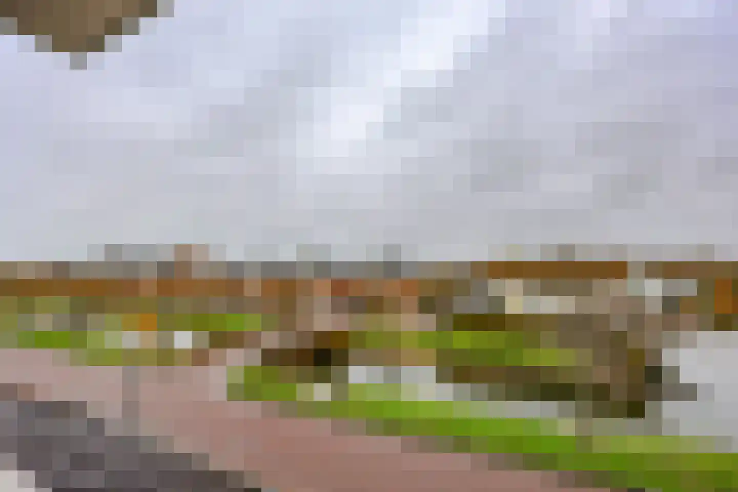Galjoen 06 35 Lelystad thumbnail 43