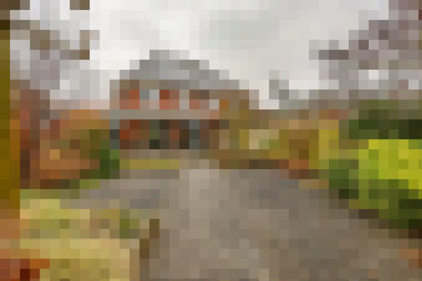 Galjoen 06 35 Lelystad thumbnail 46