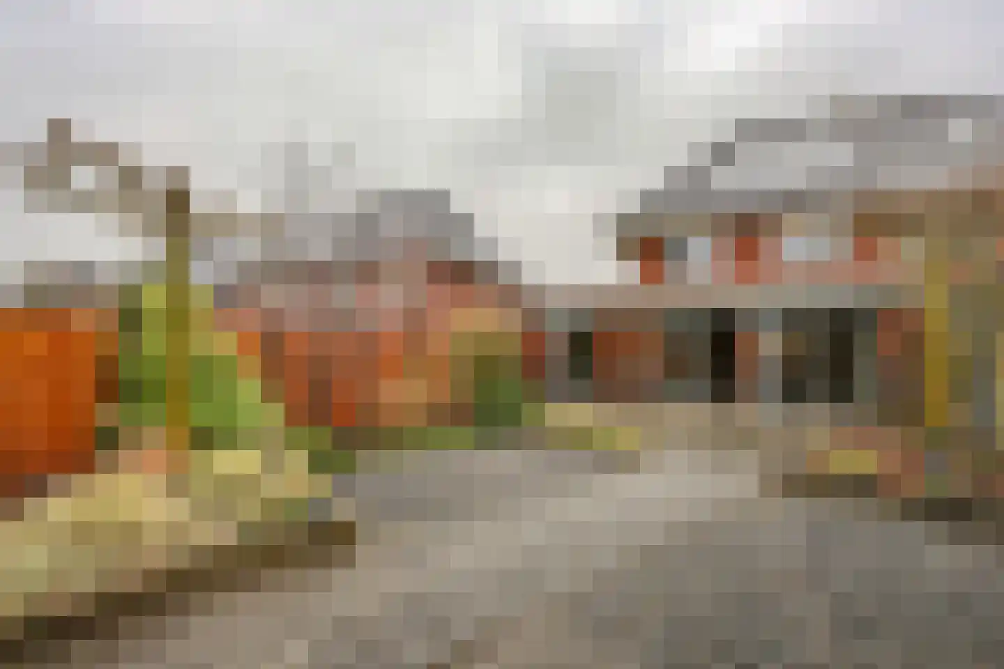 Galjoen 06 35 Lelystad thumbnail 49
