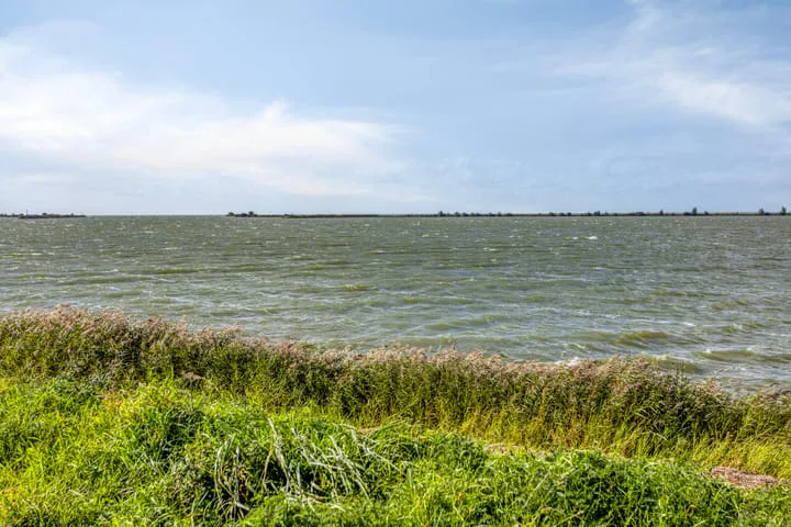 Galjoen 06 61 Lelystad thumbnail 56