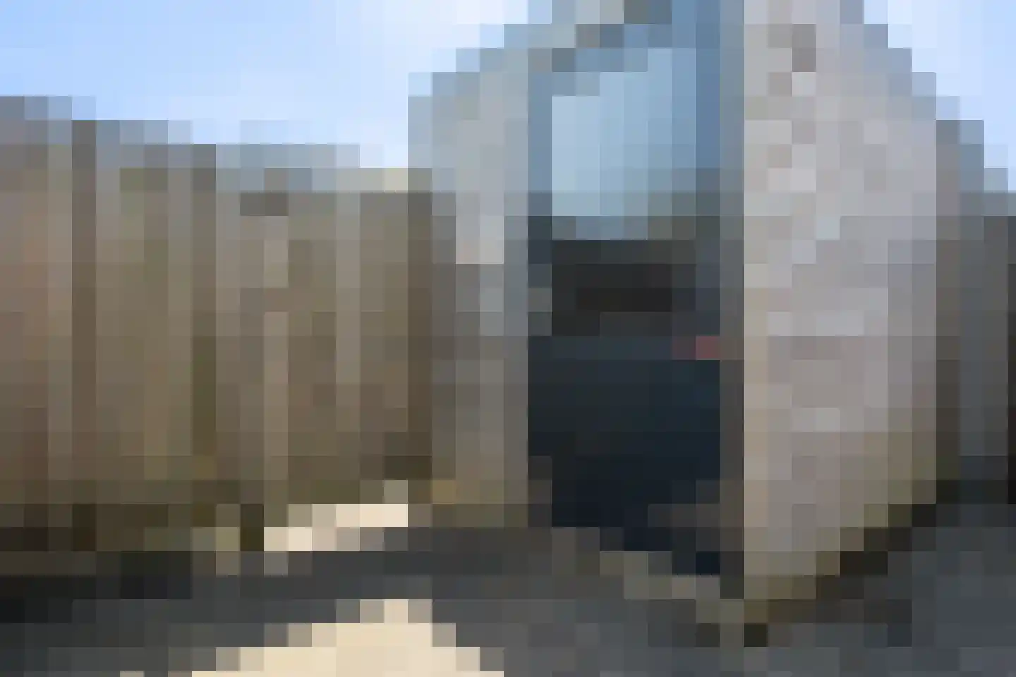 Galjoen 07 12 Lelystad thumbnail 31