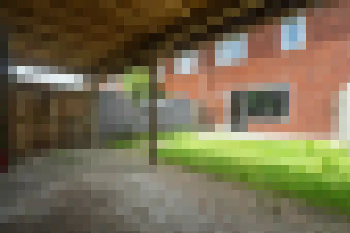 Galjoen 07 15 Lelystad thumbnail 10