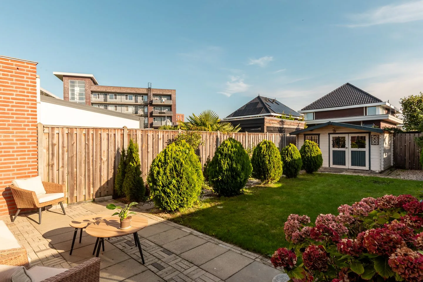 Galjoen 08 51 Lelystad thumbnail 33