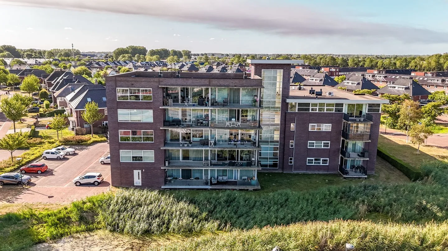 Galjoen 09 59 Lelystad thumbnail 4