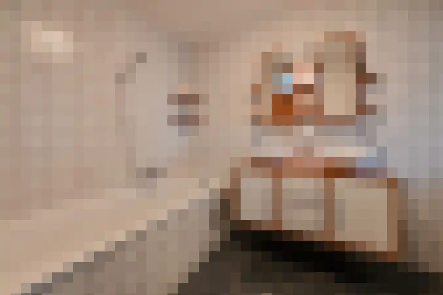 Galjoen 1 Alphen aan den Rijn thumbnail 39