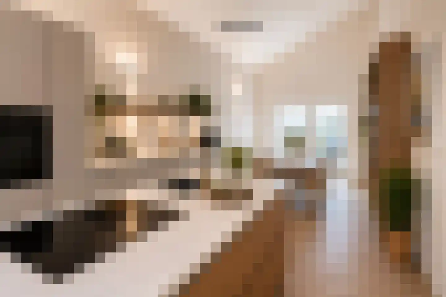 Galjoen 1 Alphen aan den Rijn thumbnail 58