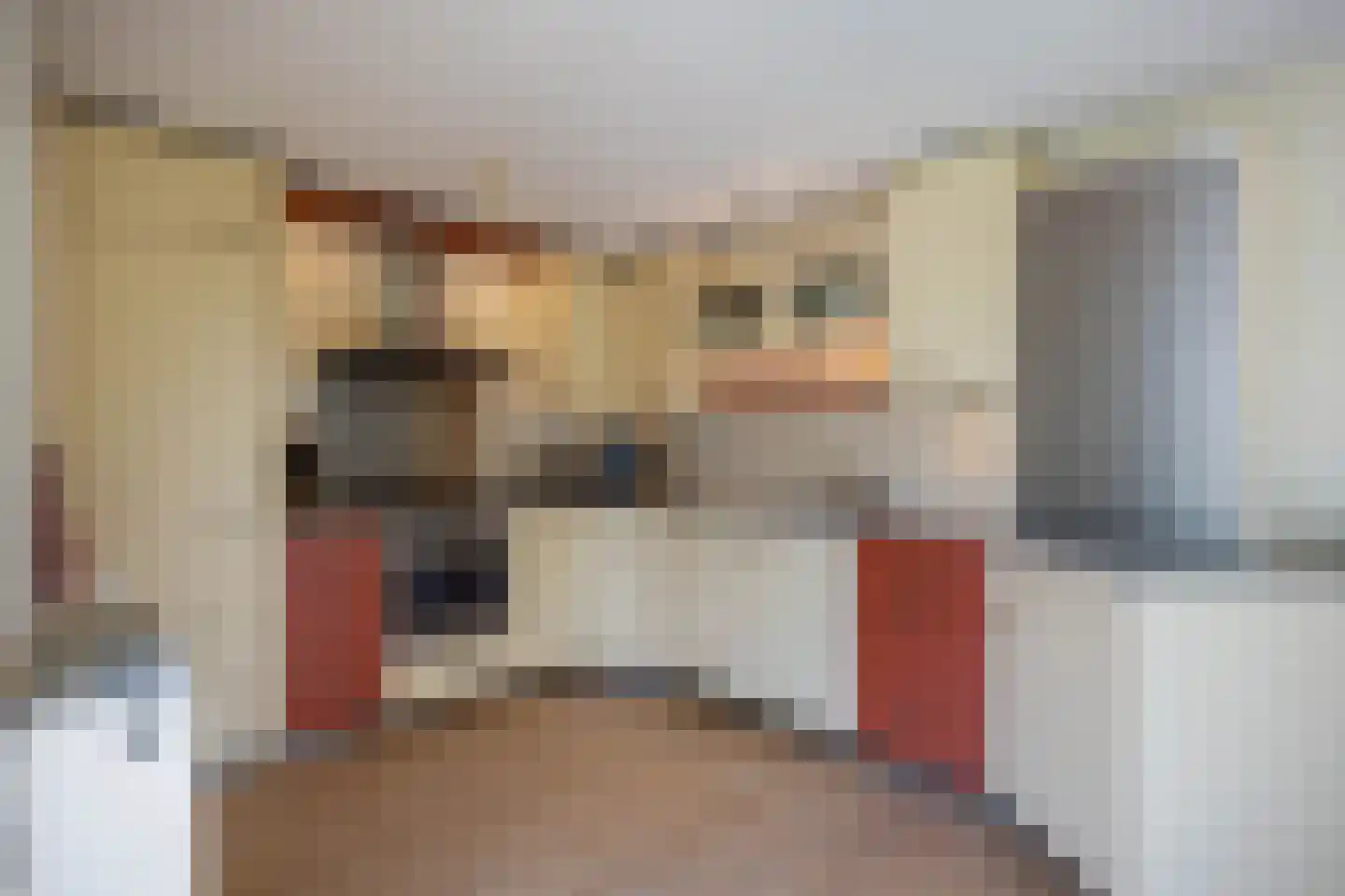 Galjoen 1 Zuidhorn thumbnail 21