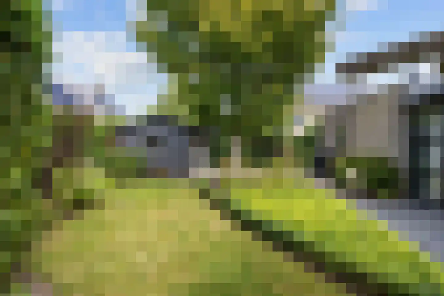 Galjoen 1 Zuidhorn thumbnail 51