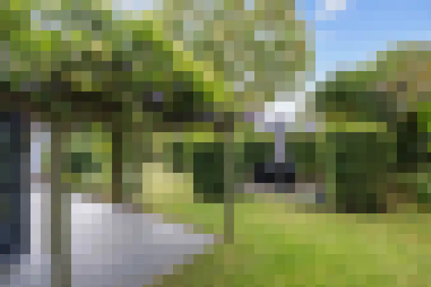 Galjoen 1 Zuidhorn thumbnail 54